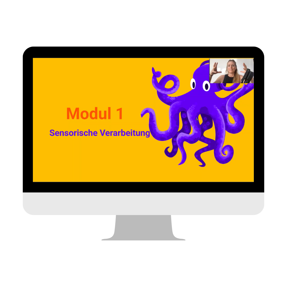 Online Webinar Sensorische Diät